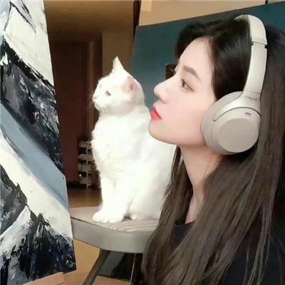 迈阿密的一夜